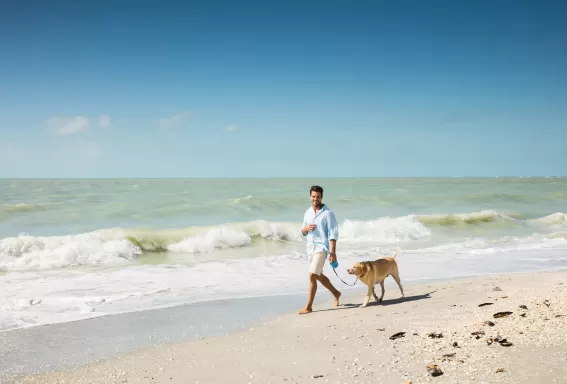 man walking dog on beach in fort myers