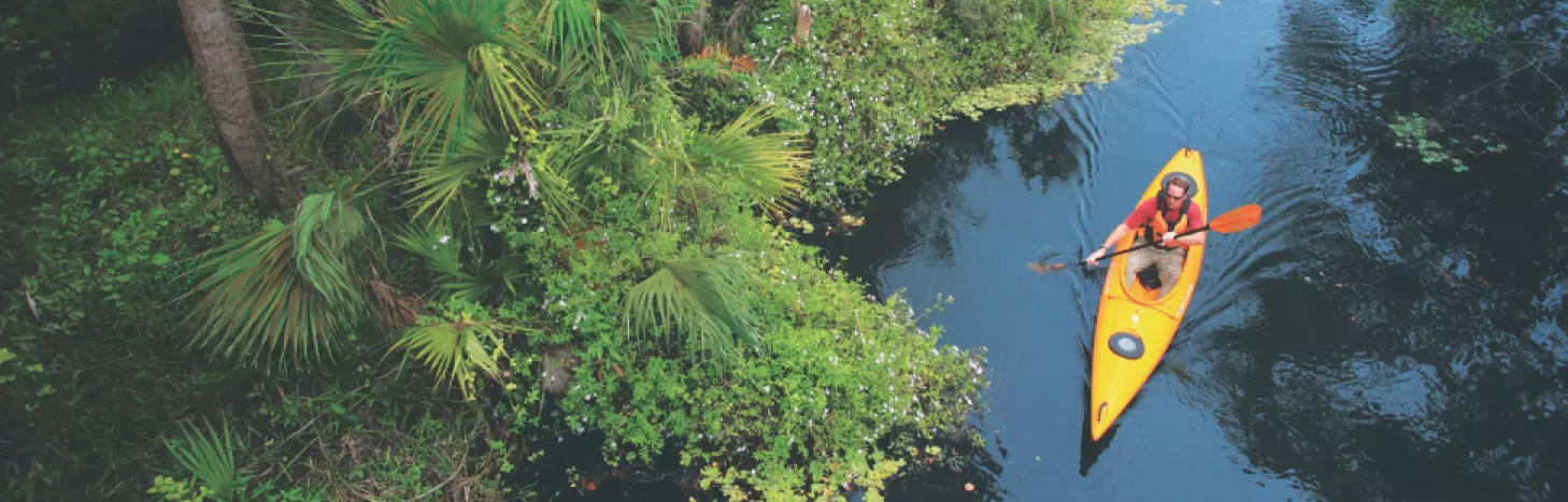 Parks and points and perks, oh my!