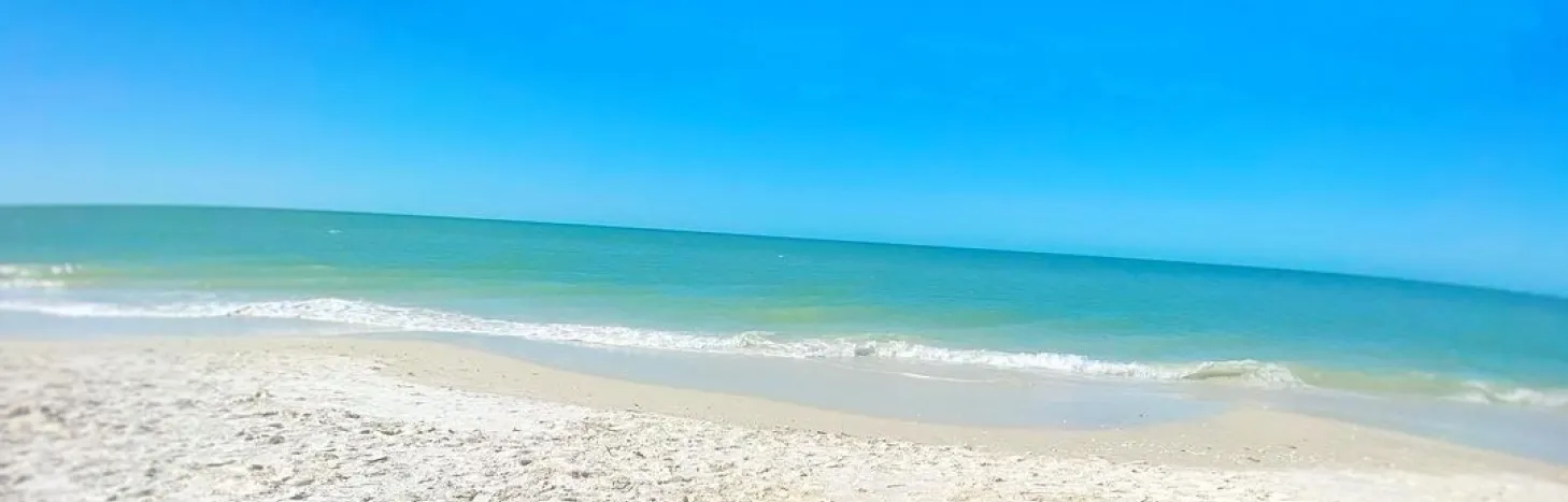 A woman reads on a beautiful beach
