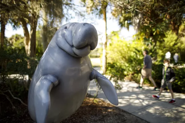 A statue of a manatee greets guests to Manatee Park